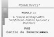 MODULO 1: El Proceso del Diagnóstico, Planificación, Análisis, Ejecución y Monitoreo RURALINVEST FAO Centro de Inversiones