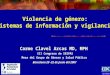 Violencia de género: sistemas de información y vigilancia Carme Clavel Arcas MD, MPH XII Congreso de SESPAS Mesa del Grupo de Género y Salud Pública Barcelona
