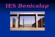 IES Benicalap. Oferta Formativa ESO ESO Bachillerato – Tecnológico- Científico - Humanístico Bachillerato – Tecnológico- Científico - Humanístico Ciclos