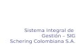 Sistema Integral de Gestión – SIG Schering Colombiana S.A