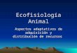 Ecofisiología Animal Aspectos adaptativos de adquisición y distribución de recursos