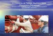 1 El Convenio de Trabajo Marítimo 2006: Principios y Estructura Barcelona 30 de Septiembre de 2010. Año Internacional del Marino Seminario APB – Stella
