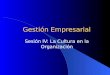 Gestión Empresarial Sesión IV: La Cultura en la Organización