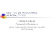 GESTION DE PROGRAMAS AERONAUTICOS Ignacio Eguía Fernando Guerrero Dpto. Organización Industrial y Gestión de Empresas