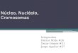 Ncleo, Nucl©olo, Cromosomas Integrantes H©ctor Milla #26 Oscar G³mez #31 Jorge Aguilar #27