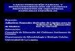 CARACTERIZACIÓN PARCIAL Y BIOTRANSFORMACIÓN DE LIGNINAS PROVENIENTES DE INDUSTRIAS PAPELERAS ESPAÑOLAS Proyecto: Adhesivos Naturales derivados de Lignina