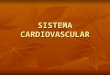 SISTEMA CARDIOVASCULAR. El sistema circulatorio tiene como función principal el aporte y remoción de gases, nutrientes, hormonas, etc. de los diferentes