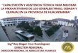 UBICACIÓN: Políticamente el ámbito de intervención del proyecto está localizado: Región : Huánuco Provincia : Huacaybamba Distritos : Huacaybamba, Canchabamba,