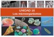 UNIDAD 16 Los microorganismos. Recursos para la explicación de la unidad Características de los microorganismos Tipos de microorganismos BacteriasEstructura