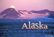 El Parque Nacional de Kenai es el menor de los 8 parques nacionales de Alaska, pero en compensación es uno de los más bonitos y visitados. Está localizado
