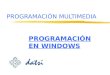PROGRAMACIÓN MULTIMEDIA PROGRAMACIÓN EN WINDOWS. Programación MultimediaProgramación en Windows © Carlos A. Lázaro Carrascosa. Laboratorio de Comunicación