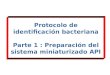 Protocolo de identificación bacteriana Parte 1 : Preparación del sistema miniaturizado API