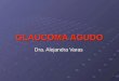 GLAUCOMA AGUDO Dra. Alejandra Varas. Glaucoma Agudo Glaucoma Agudo con Cierre Angular Emergencia oftalmológica que requiere diagnóstico y solución rápida