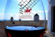 La Mancha, con las innumerables hectáreas de viñedo que pueblan sus campos, es la zona vitivinícola más extensa del mundo
