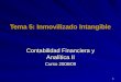 1 Tema 5: Inmovilizado Intangible Tema 5: Inmovilizado Intangible Contabilidad Financiera y Analítica II Curso 2008/09