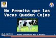 No Permita que las Vacas Queden Cojas 30 de agosto de 2009Métodos Informáticos Para el Análisis1