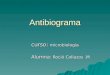 Antibiograma curso: microbiología Alumna : Roció Collazos.M Alumna : Roció Collazos.M