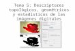 Tema 5: Descriptores topológicos, geométricos y estadísticos de las imágenes digitales