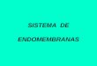 SISTEMA DE ENDOMEMBRANAS Becker,W.M. y col. 2000
