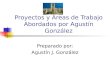 Proyectos y Áreas de Trabajo Abordados por Agustín González Preparado por: Agustín J. González
