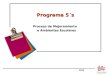 Programa 5´s - Proceso de Mejoramiento de Ambientes Escolares Programa 5´s Proceso de Mejoramiento de Ambientes Escolares