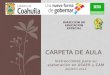 Instrucciones para su elaboración en USAER y CAM AGOSTO-2014 CARPETA DE AULA DIRECCION DE EDUCACION ESPECIAL