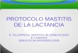 PROTOCOLO MASTITIS DE LA LACTANCIA E. VILLARROYA. SERVICIO DE GINECOLOGÍA E. FUENTES SERVICIO DE MICROBIOLOGÍA