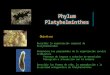 Objetivos Describir la organización corporal de Platythelminthes Determinar las propiedades de la organización sacular triblástica Procesos de ingreso