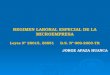 REGIMEN LABORAL ESPECIAL DE LA MICROEMPRESA Leyes Nº 28015, 28851 D.S. Nº 009-2003-TR JORGE APAZA HUANCA