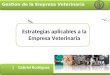 Gestión de la Empresa Veterinaria | Gabriel Rodriguez Estrategias aplicables a la Empresa Veterinaria
