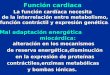 Función cardiaca La función cardíaca necesita La función cardíaca necesita de la interrelación entre metabolismo, función contráctil y expresión genética