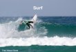 Surf Foto: Marco Giorgi. El surf es un deporte que consiste en deslizarse sobre las olas del mar de pie sobre una tabla, dirigiéndola gracias a una o