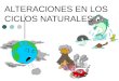 ALTERACIONES EN LOS CICLOS NATURALES. ¿Cómo se pueden alterar los ciclos biogeoquímicos? ¿Qué crees que ocurre con los ciclos naturales cuando el hombre