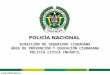 DIRECCIÓN DE SEGURIDAD CIUDADANA ÁREA DE PREVENCIÓN Y EDUCACIÓN CIUDADANA POLICÍA CIVICA INFANTIL