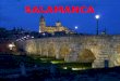 SALAMANCA En el trabajo destacamos: -Localización -Historia de Salamanca -Monumentos -Parques -Gastronomía -Costumbres -Deportes