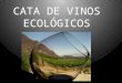 CATA DE VINOS ECOLÓGICOS. Un 15% de las bodegas riojanas de la Denominación de Origen Calificada Rioja elaboran vinos ecológicos y hay 81 productores