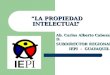 “LA PROPIEDAD INTELECTUAL” “LA PROPIEDAD INTELECTUAL” Ab. Carlos Alberto Cabezas D. SUBDIRECTOR REGIONAL IEPI - GUAYAQUIL IEPI - GUAYAQUIL