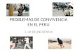 PROBLEMAS DE CONVIVENCIA EN EL PERU 1. LA DELINCUENCIA