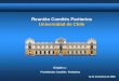12 de diciembre de 2008 Reunión Comités Paritarios Universidad de Chile Dirigido a: Presidentes Comités Paritarios