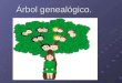 Árbol genealógico.. Genealogía: (del latín genea que viene del griego genos y quiere decir raza, nacimiento, descendencia. Logia: del griego logos que