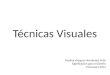 Técnicas Visuales Paulina Vásquez Hernández Urtiz Significación para el Diseño Primavera 2014