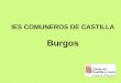 IES COMUNEROS DE CASTILLA Burgos. ESTRUCTURA DEL SISTEMA EDUCATIVO ACTUAL
