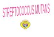 INTRODUCCION El grupo streptococcus mutans, ha sido descrito recientemente como un constituyente de la flora bacteriana oral del hombre desde hace miles