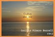 Cuba Más Allá Cecilia Ribero Borrell rscj. Más allá que instruir, informar, conducir, adiestrar, refinar, moldear a las sabias costumbres que son porque