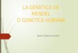 LA GENETICA DE MENDEL O GENETICA HUMANA MANUEL CAMPILLO DE HOYOS