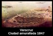 Veracruz Ciudad amurallada 1847. LOS JAROCHOS (Encargados de recoger la Basura y los desechos orgánicos en la ciudad, acompañados de sus inseparables