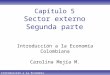 Introducción a la Economía Colombiana Capítulo 5 Sector externo Segunda parte Introducción a la Economía Colombiana Carolina Mejía M