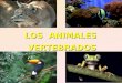 LOS ANIMALES VERTEBRADOS. OBJETIVOS Observar, describir y clasificar los vertebrados en mamíferos, aves, reptiles, anfibios y peces, a partir de características