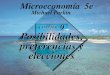 CHAPTER 9 Posibilidades, preferencias y elecciones Michael Parkin Microeconomía 5e