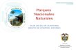 PARQUES NACIONALES NATURALES DE COLOMBIA Parques Nacionales Naturales PLAN ANUAL DE AUDITORIA GRUPO DE CONTROL INTERNO